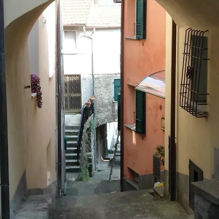 Il Frantoio *